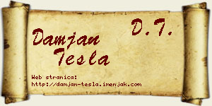 Damjan Tesla vizit kartica